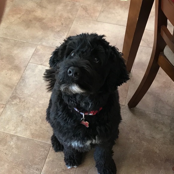 Meet your Posher, Christine - Picture 1 of 1